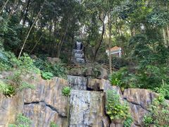 -广州市流溪河国家森林公园