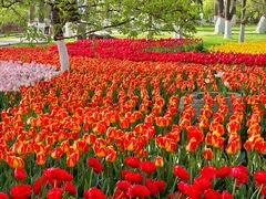 -西宁市人民公园(城西区)