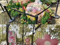 -上海共青森林公园