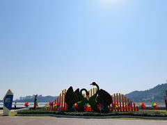-野狸岛