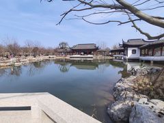 -上海滨江森林公园