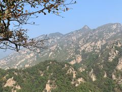 -大连天门山国家森林公园