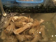 -龙城咖啡厅(常州富都洲际店)