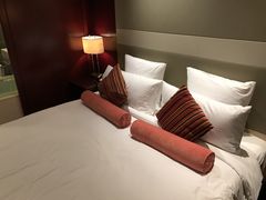 -南桥绿地铂骊酒店