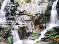 -江西阳明山国家森林公园