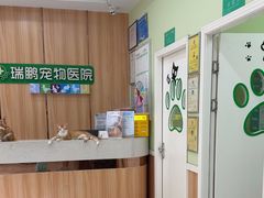 -瑞鹏宠物医院·夜间急症·心超·猫科(祖庙分店)