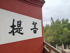-洛阳白马寺