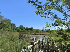 -野鸭湖国家湿地公园