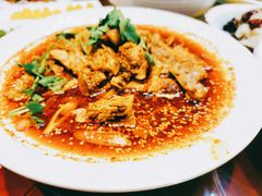 -凯里亚德酒店(成都东站店)