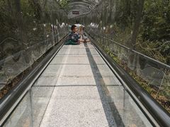 -皖西大裂谷