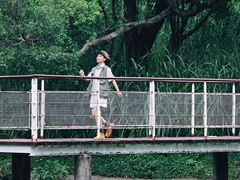 -燕晗山郊野公园