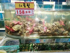 -鑫悦楼煎蟹·16年海鲜大排档