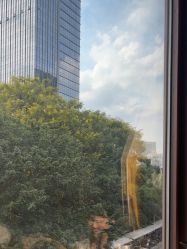 -上海首尔丽格医疗美容医院