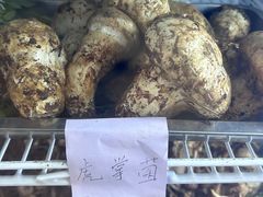 -野生菌火锅(菌王村店)