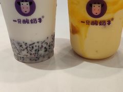 -一只酸奶牛(八一路店)
