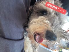 -MEGA BASE 健身馆(南山店)