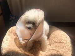 -康乐宝动物医院