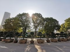 -华雅花园大酒店