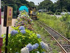 -济州森林小火车生态公园