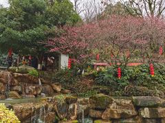 -兰溪地下长河