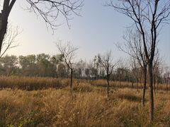 -东郊湿地公园