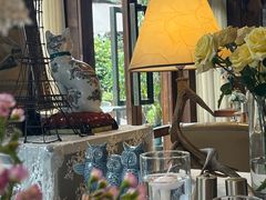 -一棵树·意大利西餐厅One Tree(新城店)