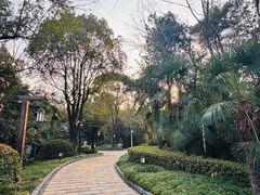 -天目湖涵田半山温泉