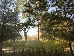 -青城公园