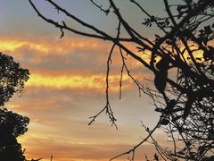 -天鹅湖体育公园