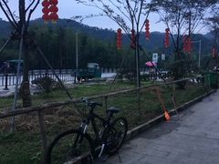 -长兴慧子土特产茶行