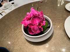 -上海总会SHANGHAICLUB(兴业太古汇店)