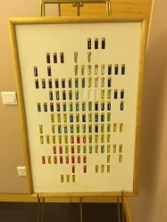 -彩虹之门健康管理