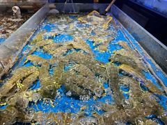-徐记海鲜(大雁塔|金都店)