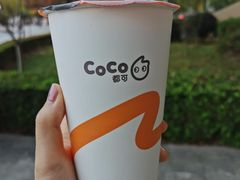 鲜芋青稞牛奶-CoCo都可(文星广场店)