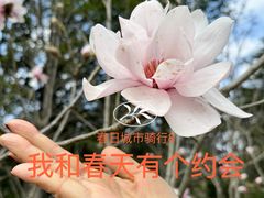 -上海植物园-4号门售票处