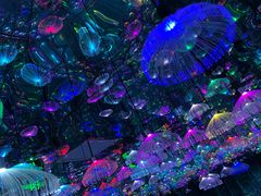 -天津梵高星空艺术馆(天河城旗舰店)