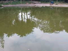 -黄埔荔枝公园