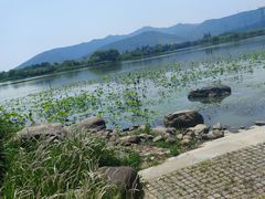 -长田漾湿地公园