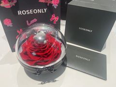 -ROSEONLY诺誓(广州K11店)