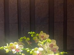 -江南足纪·影院足道·轻奢SPA(笋岗HALO广场店)