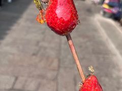 -山塘街