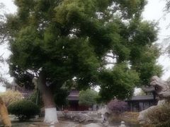 -口岸雕花楼
