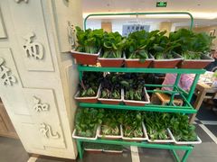 -山东宾馆·齐鲁苑餐厅