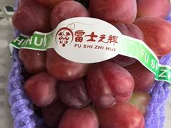 -马陆小张葡萄园农家乐