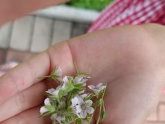 -长春公园(普阳街道)