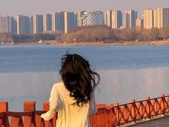 -丁香湖公园