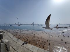 -星海广场