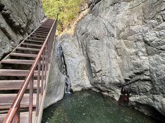 -云岫谷游猎自然风景区