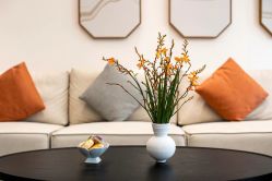 -悦尚生活空间•瑜伽普拉提•悦心芳香疗愈SPA