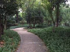 -新湖明珠城
